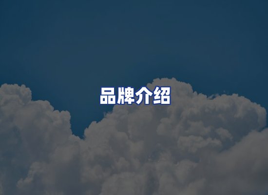运营团队